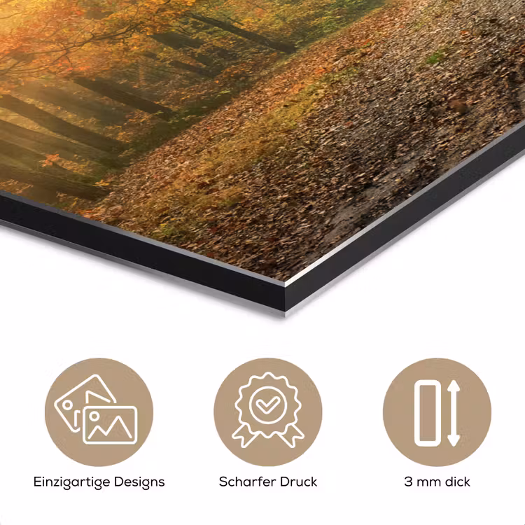 Bos - Herfst - Zon - Landschap - Natuur - Bomen - Bladeren aluminium wit klein -closeup_DE