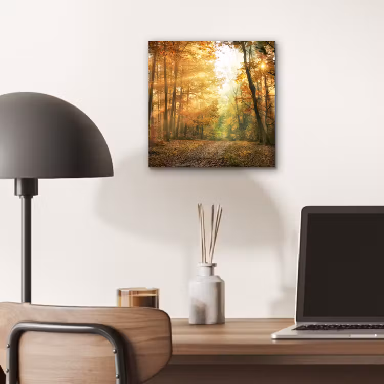Bos - Herfst - Zon - Landschap - Natuur - Bomen - Bladeren aluminium wit klein -sfeer5