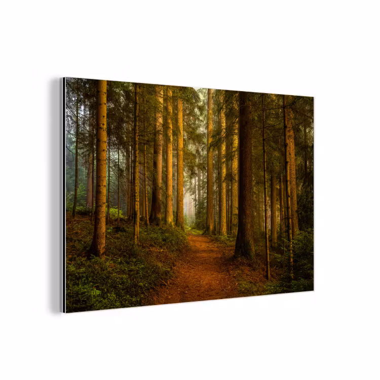 Bos - Natuur - Bomen - Landschap - Bladeren aluminium wit klein -3d