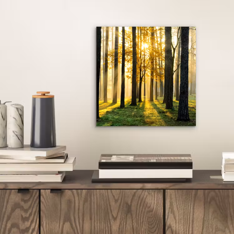 Bos - Zon - Bomen - Gras - Landschap  - Natuur aluminium wit klein -sfeer1