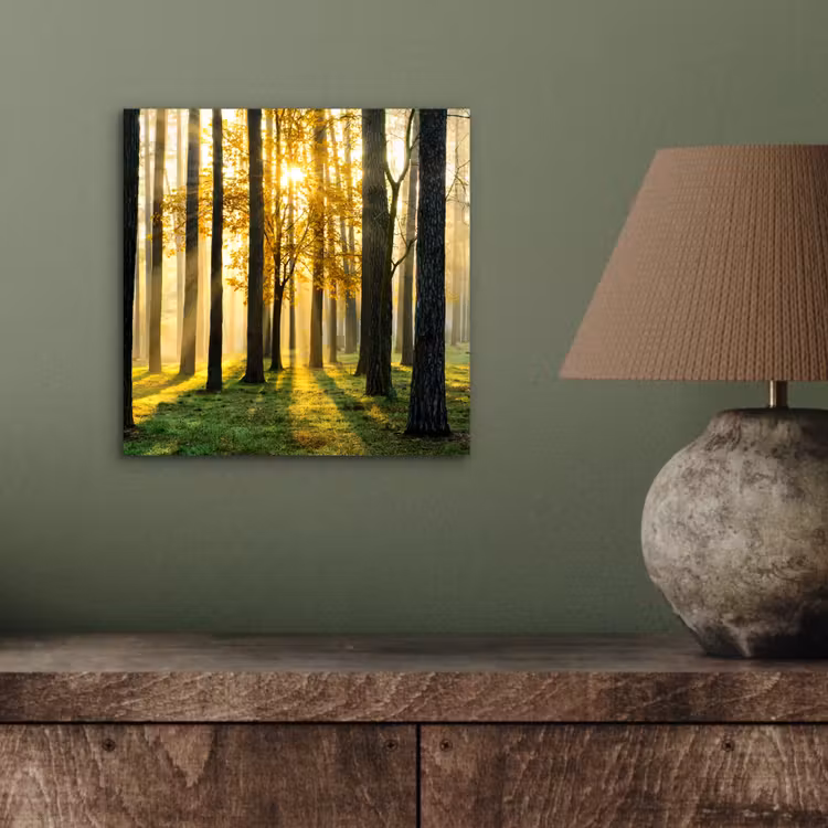 Bos - Zon - Bomen - Gras - Landschap  - Natuur aluminium wit klein -sfeer2