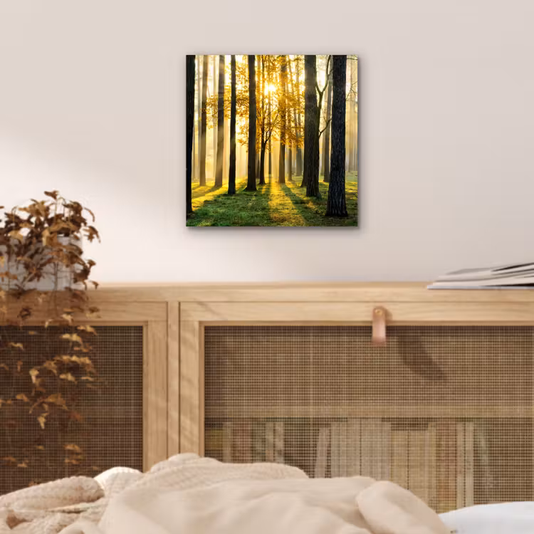 Bos - Zon - Bomen - Gras - Landschap  - Natuur aluminium wit klein -sfeer3