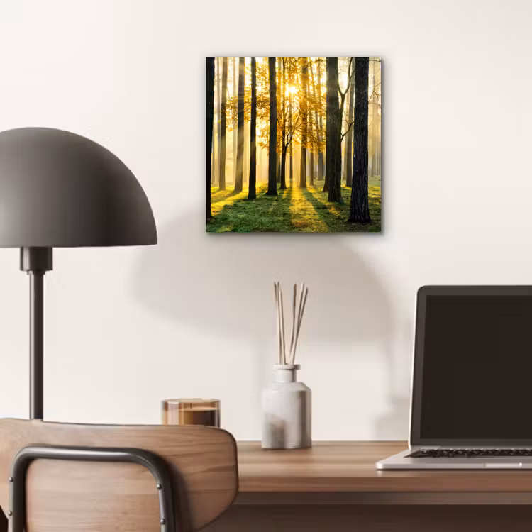 Bos - Zon - Bomen - Gras - Landschap  - Natuur aluminium wit klein -sfeer5