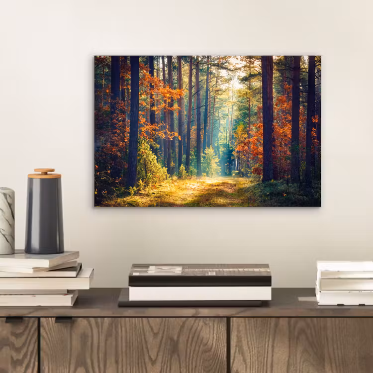 Wald - Sonne - Natur - Herbst aluminium wit klein -sfeer1