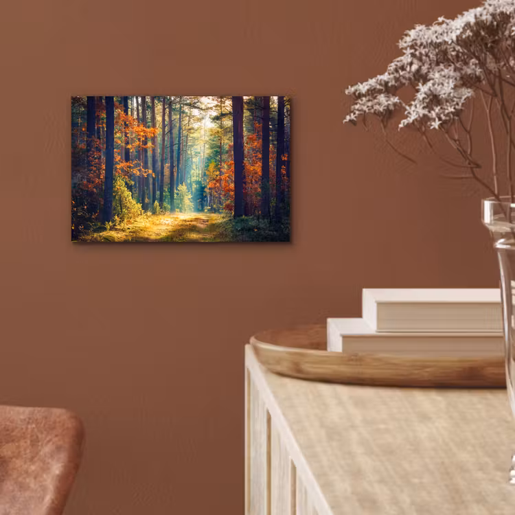 Wald - Sonne - Natur - Herbst aluminium wit klein -sfeer4