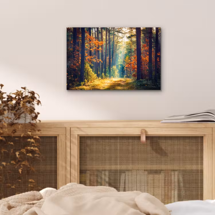 Bos - Zon - Natuur - Herfst aluminium wit klein -sfeer3