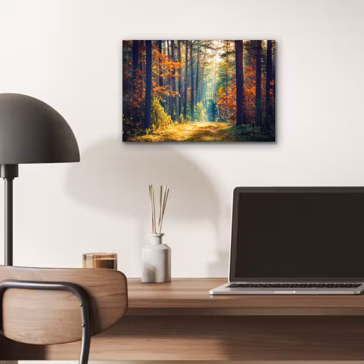 Bos - Zon - Natuur - Herfst aluminium wit klein -sfeer5