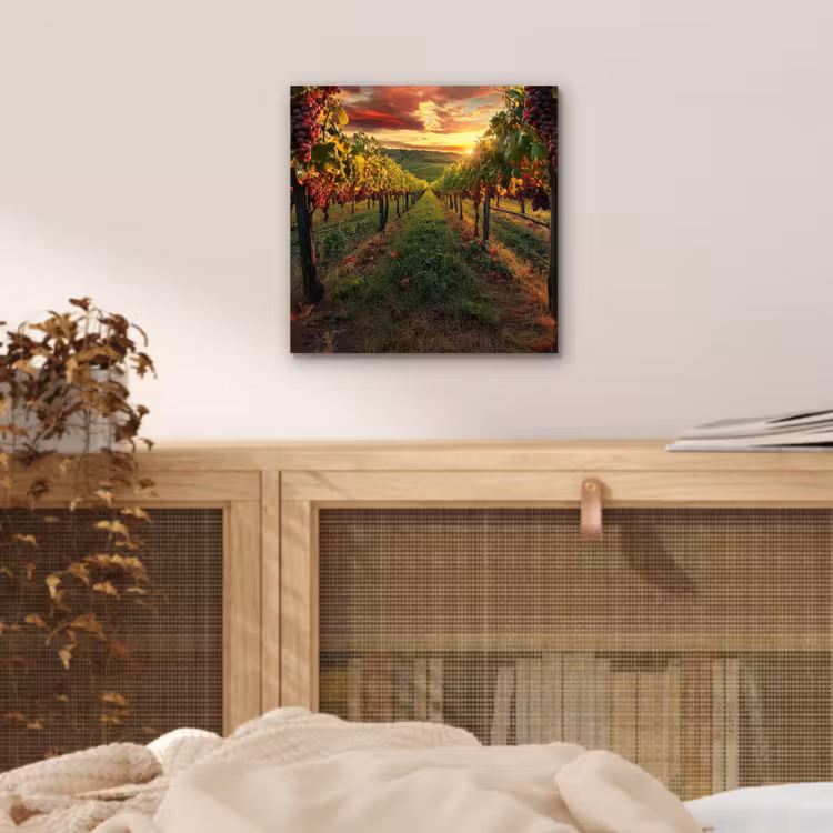 Wijngaard - Druiven - Zonsondergang aluminium wit klein -sfeer3