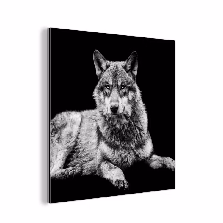 Wilde dieren - Wolf - Zwart - Wit aluminium wit klein -3d