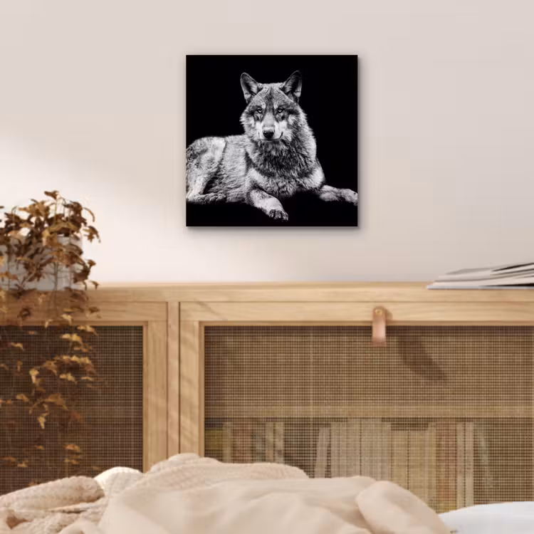 Wilde dieren - Wolf - Zwart - Wit aluminium wit klein -sfeer3