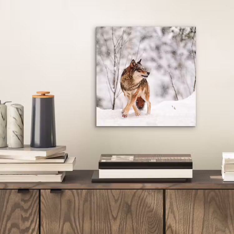 Wolf - Winter - Sneeuw - Natuur - Dieren aluminium wit klein -sfeer1