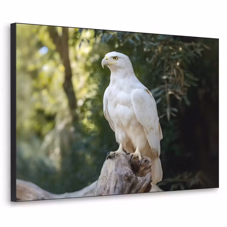 Arend - Hout - Wit - Planten Textielframe - compleet frame klein -3d