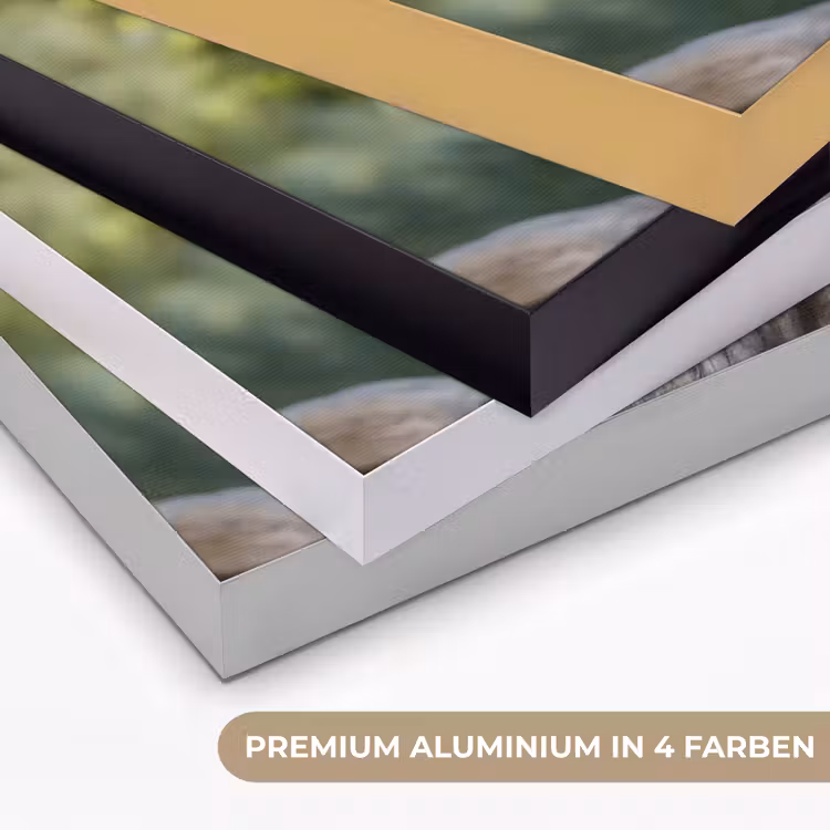 Arend - Hout - Wit - Planten Textielframe zwart klein -USP_kleurenDE