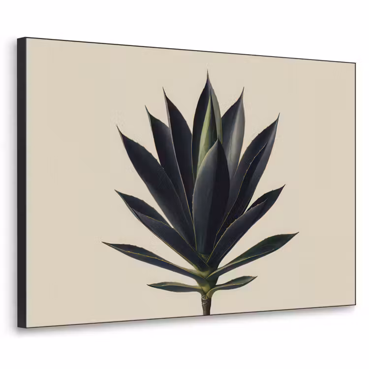 Agaveplant - Symmetrisch - Groen Textielframe zwart klein -3d