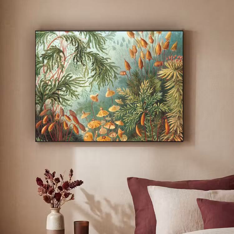 Oude meesters - Kunst - Muscinae - Haeckel Textielframe zwart klein -sfeer1