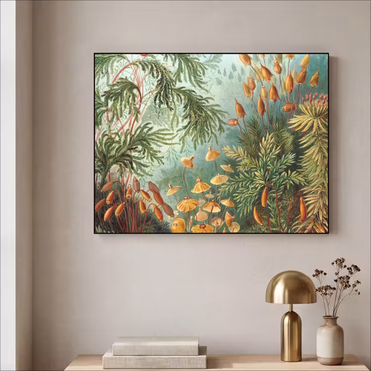 Oude meesters - Kunst - Muscinae - Haeckel Textielframe zwart klein -sfeer2