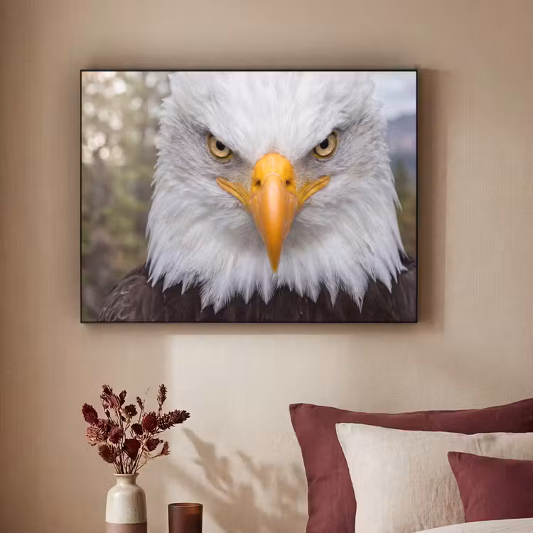 Amerikaans - Zeearend - Portret - Geel Textielframe zwart klein -sfeer1