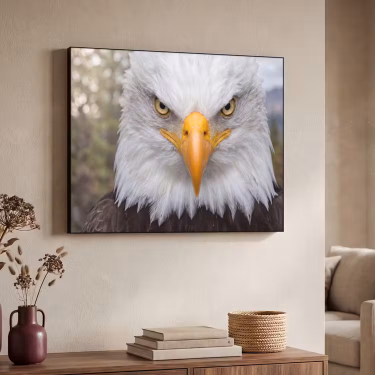 Amerikaans - Zeearend - Portret - Geel Textielframe zwart klein -sfeer3