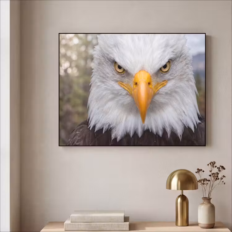 Amerikaans - Zeearend - Portret - Geel Textielframe zwart klein -sfeer2