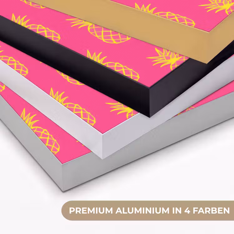 Ananas - Trendy - Roze Textielframe zwart klein 947 -USP_kleurenDE
