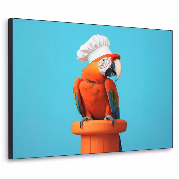 Ara - Koksmuts - Sokkel - Grappig Textielframe zwart klein -3d