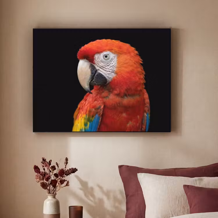Ara - Portret - Rood Textielframe zwart klein -sfeer1