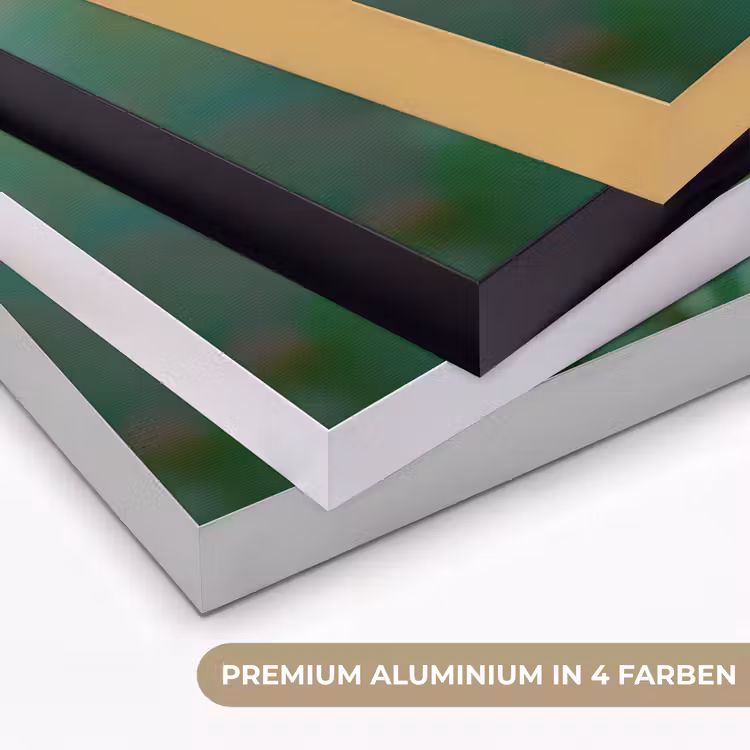 Aster - Paars - Bloem - Blaadjes Textielframe zwart klein -USP_kleurenDE
