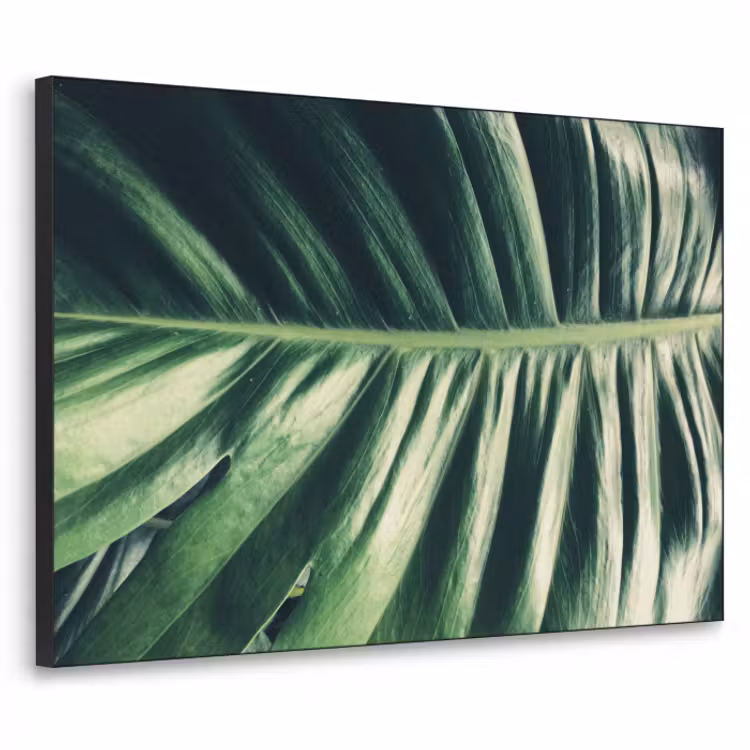 tropical-inductiebeschermer-cm-nie0ef8bjsp4vzto-textielframe-zwart-klein-3d.jpg