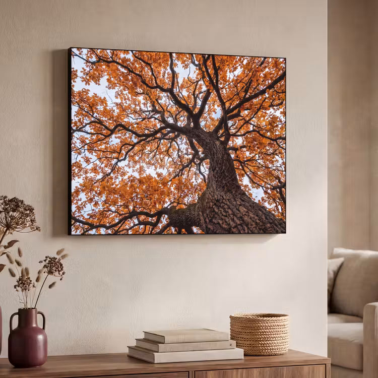 Boom - Bladerdak - Herfst - Oranje - Sfeervol Textielframe zwart klein -sfeer3