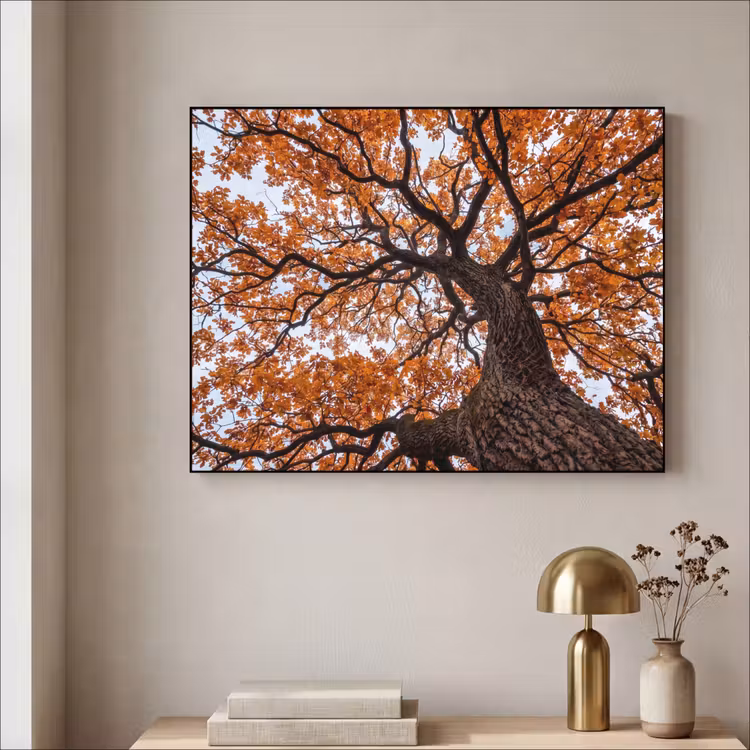 Boom - Bladerdak - Herfst - Oranje - Sfeervol Textielframe zwart klein -sfeer2