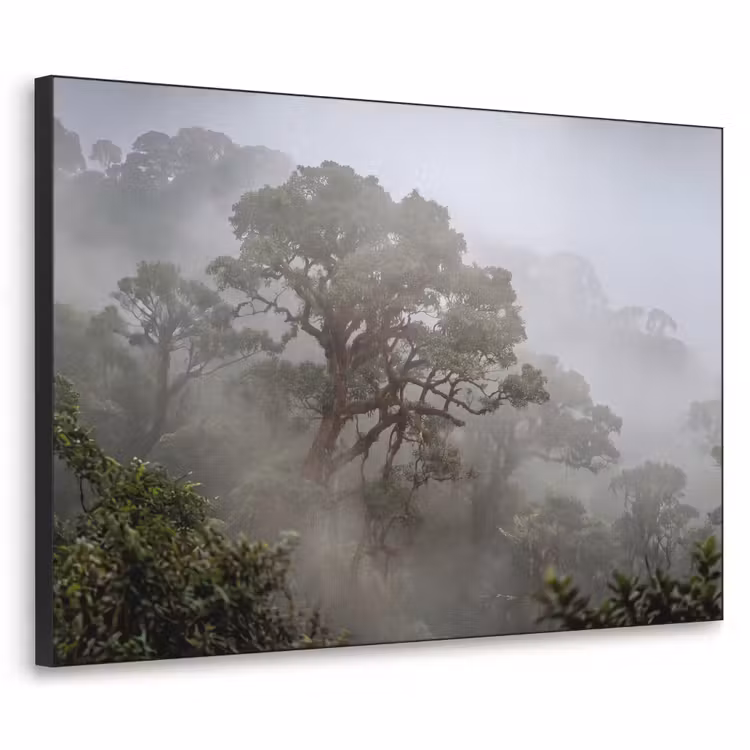 Boom - Mistig - Bos - Groen - Natuur Textielframe zwart klein -3d
