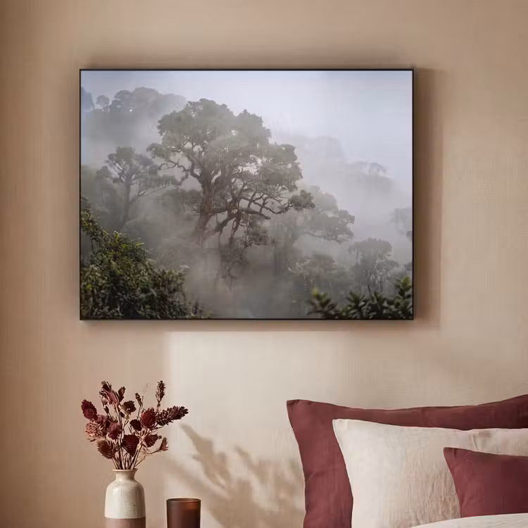 Boom - Mistig - Bos - Groen - Natuur Textielframe zwart klein -sfeer1