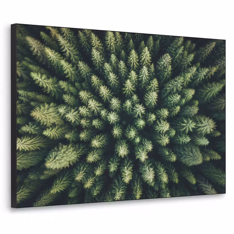 Bomen - Naaldwoud - Structuur Textielframe zwart klein -3d