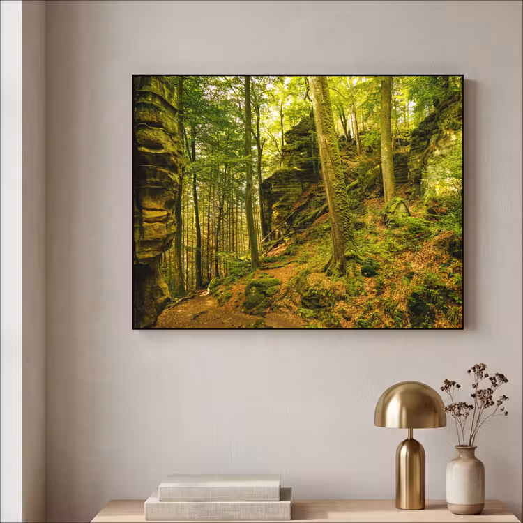 Bomen - Steen - Bos - Natuur - Planten Textielframe zwart klein -sfeer2