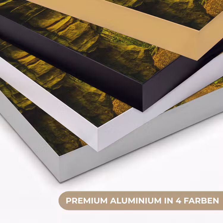 Bomen - Steen - Bos - Natuur - Planten Textielframe zwart klein -USP_kleurenDE