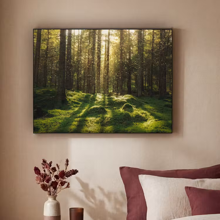 Bomen - Bos - Mos - Planten - Zon - Natuur Textielframe zwart klein -sfeer1