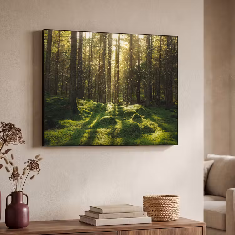 Bomen - Bos - Mos - Planten - Zon - Natuur Textielframe zwart klein -sfeer3