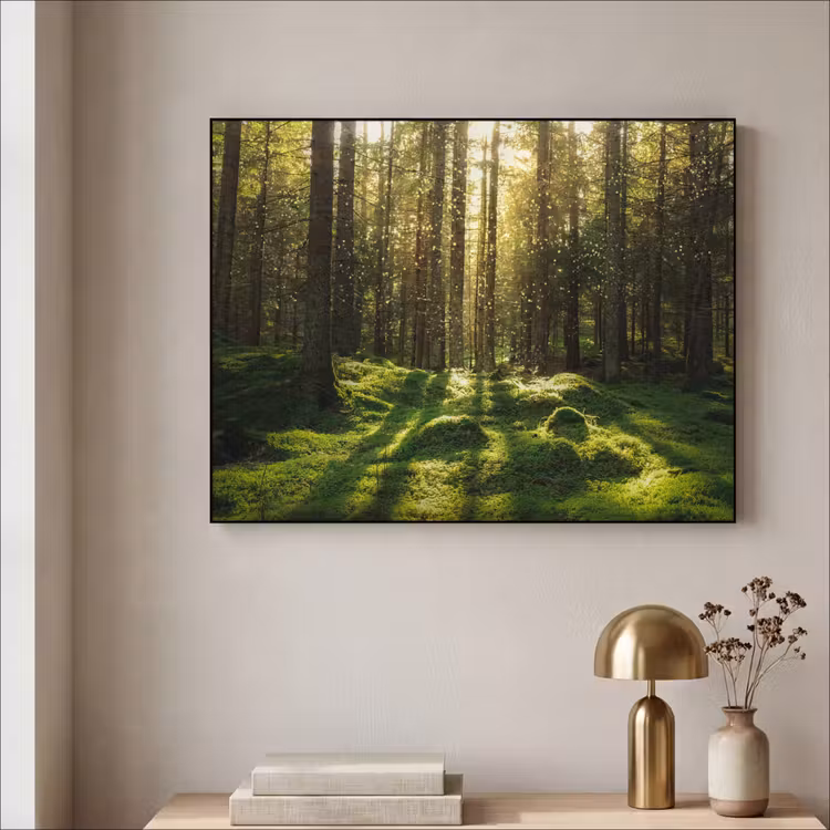 Bomen - Bos - Mos - Planten - Zon - Natuur Textielframe zwart klein -sfeer2
