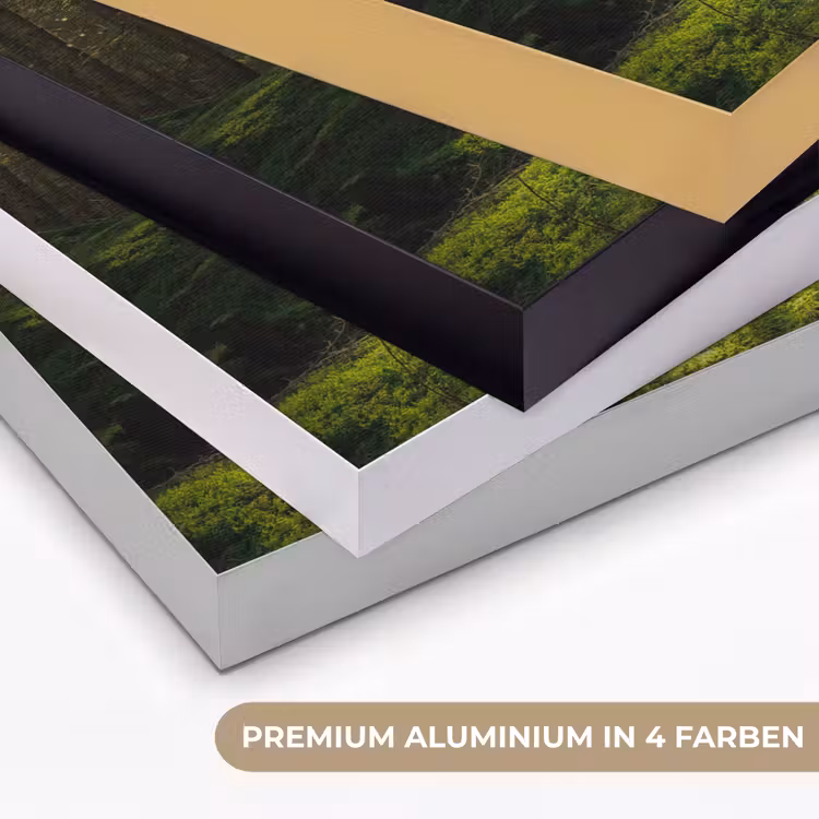 Bomen - Bos - Mos - Planten - Zon - Natuur Textielframe zwart klein -USP_kleurenDE