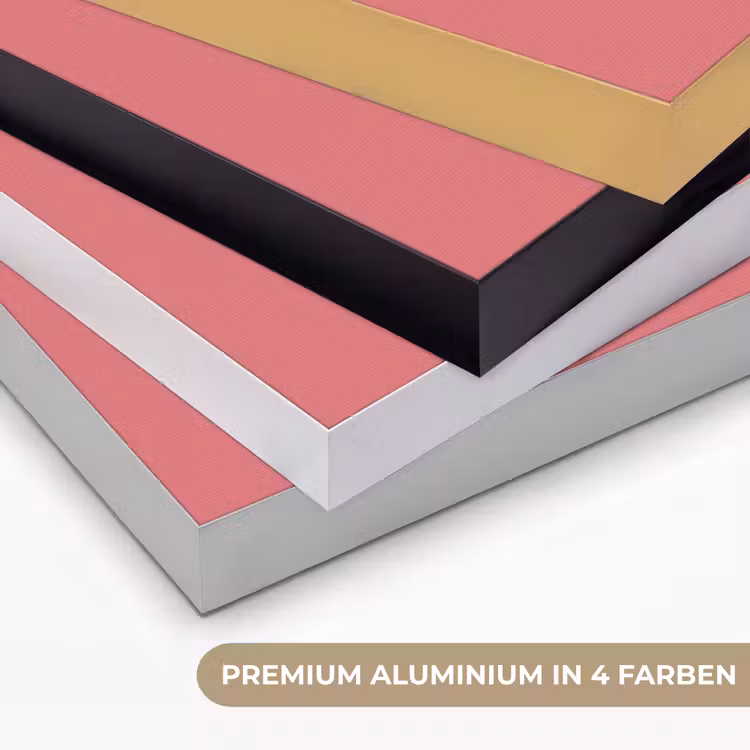 BBQ - Quote - Roze - Zomer Textielframe zwart klein -USP_kleurenDE