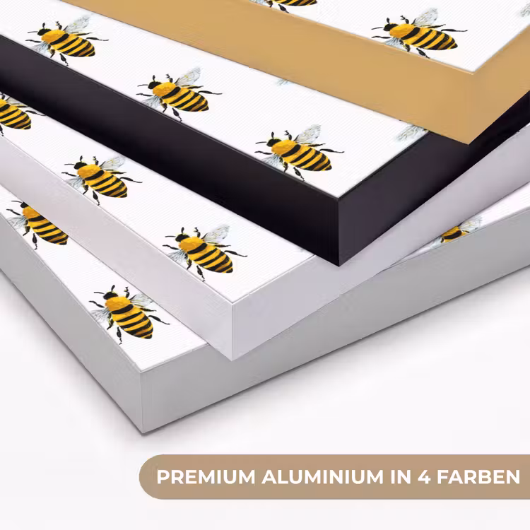 Bijen - Tijdloos - Wit Textielframe zwart klein 947 -USP_kleurenDE