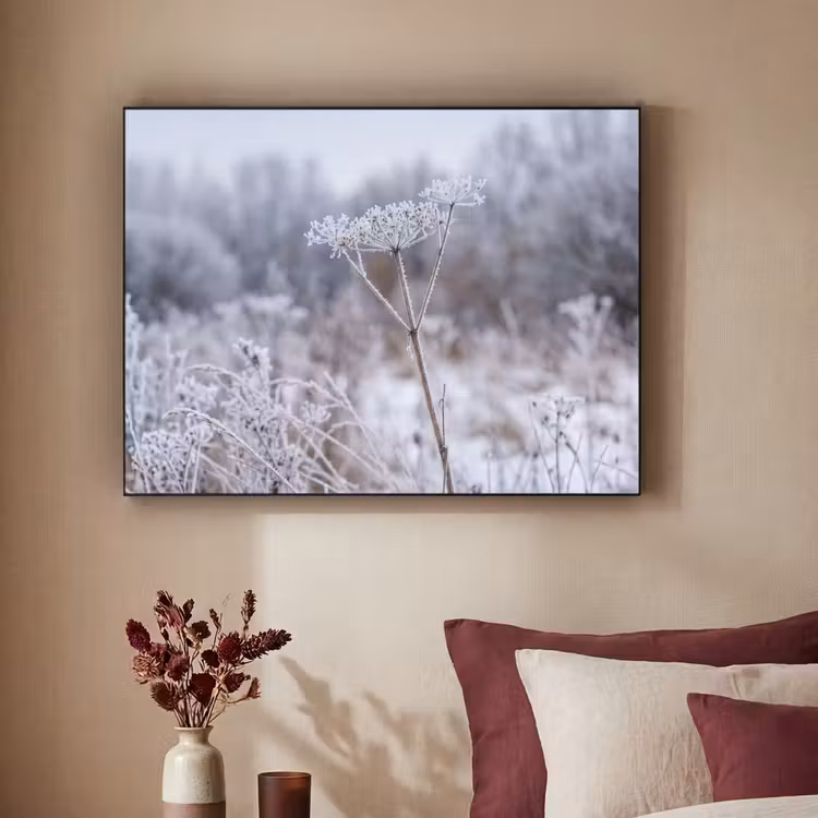 Schermbloem - Rijp - Kristallen - Winter - Delicaat Textielframe zwart klein -sfeer1