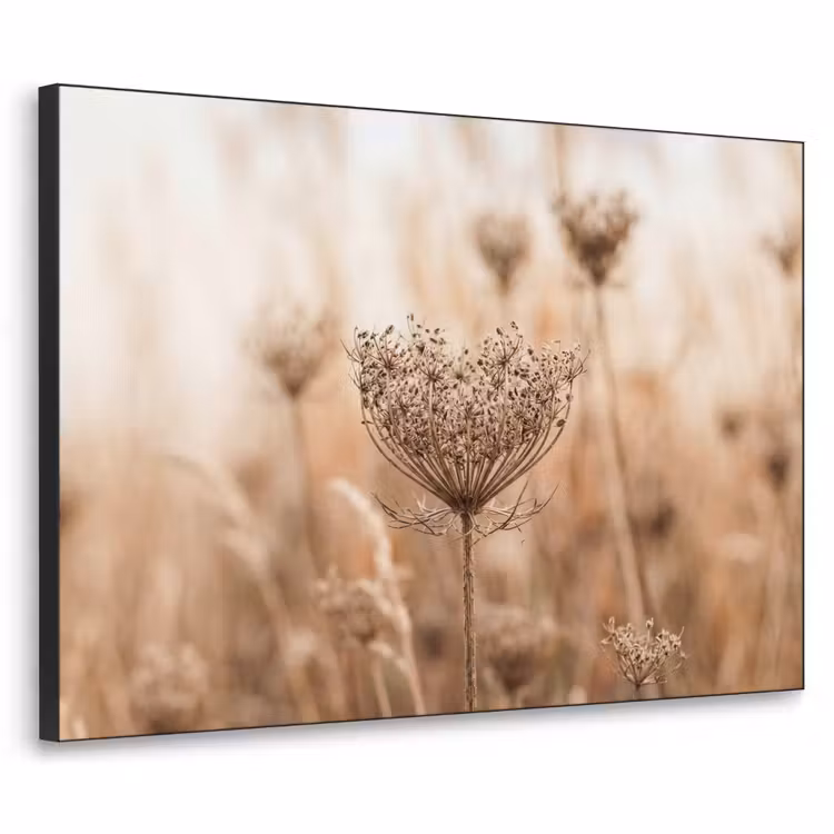 Schermbloem - Droogbloem - Winter - Beige - Minimalistisch Textielframe zwart klein -3d