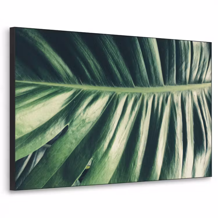 tropical10-3-2-bidj-textielframe-zwart-middel-3d.jpg