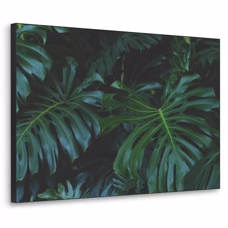 tropical-inductiebeschermer-cm-jny891fwgv8b8fca-textielframe-zwart-klein-3d.jpg