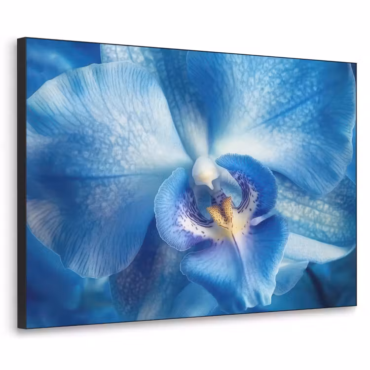 Blauw - Orchidee - Elegeant Textielframe zwart klein -3d