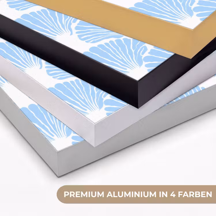 Blauw - Wit - Schelpen - Grafisch - Structuur Textielframe zwart klein 947 -USP_kleurenDE