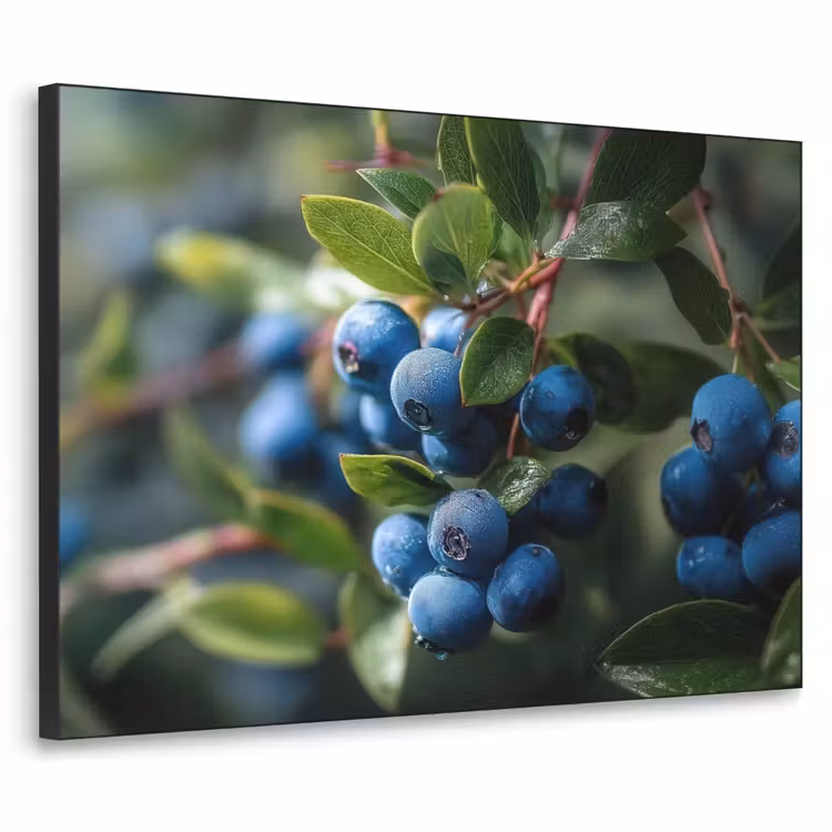Blauwe bessen - Dauwdruppels - Natuurlijk licht Textielframe - compleet frame klein -3d