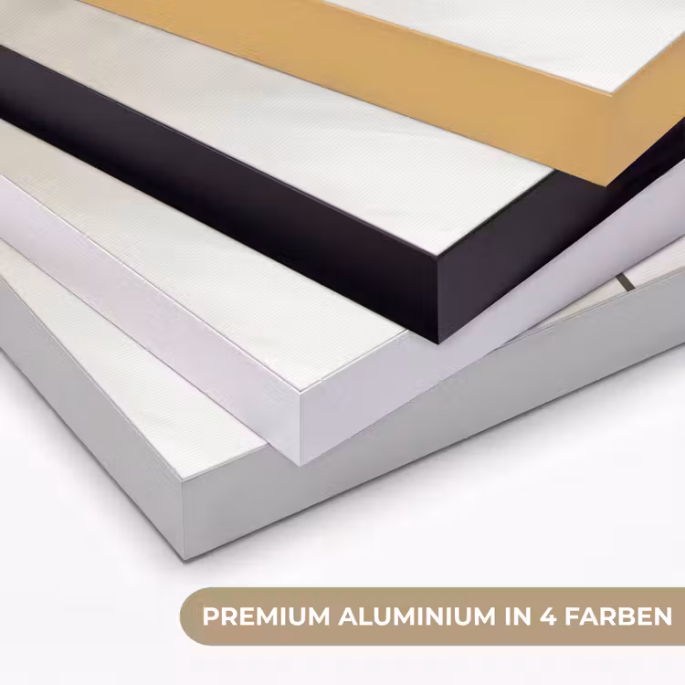 Bloem - Beige - Verf - Schaduw Textielframe zwart klein -USP_kleurenDE
