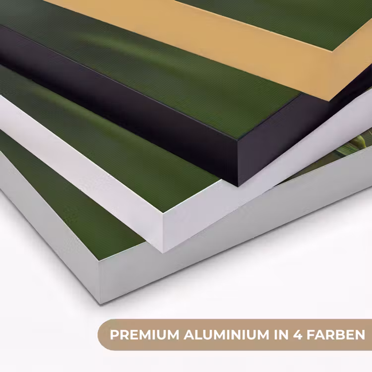 Bloem - Gladiolen - Zalmroze Textielframe zwart klein -USP_kleurenDE